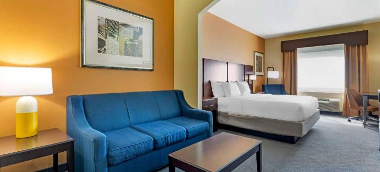 梅希亚舒适酒店(Comfort Inn & Suites Mexia)图片