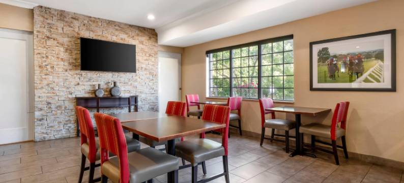 舒适套房酒店(Comfort Suites)图片