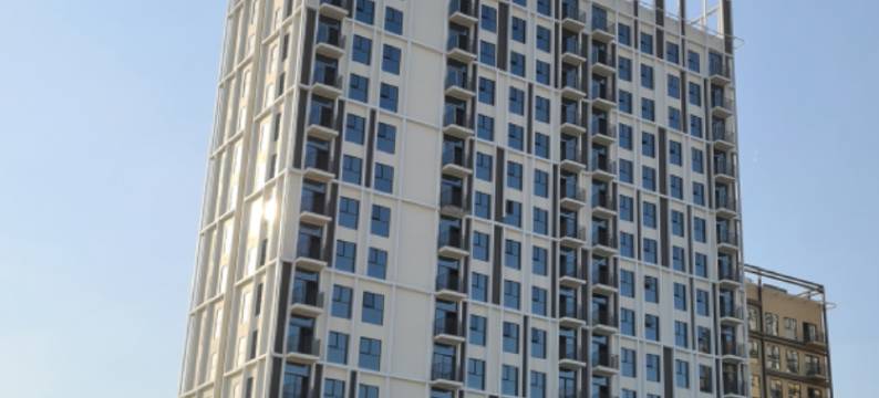 Collective 1 T2 1006图片