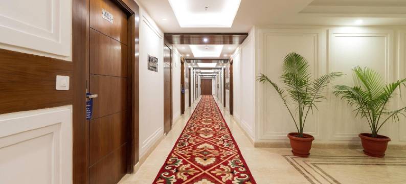 Cygnett Inn Paras图片