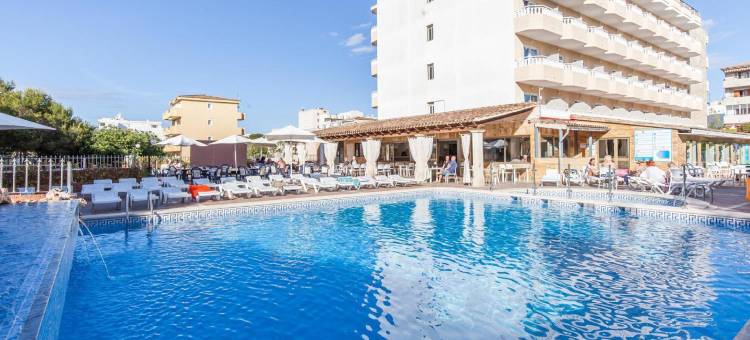 蓝海唐海梅(Bluesea Don Jaime)图片