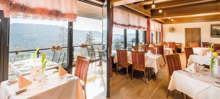 索娜伯格瓦尔德酒店(Waldhotel Sonnenberg)图片