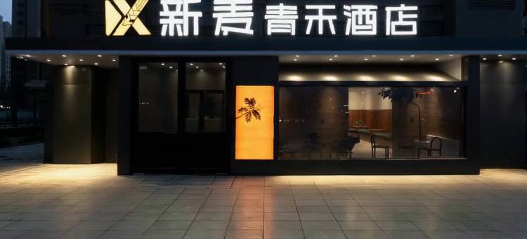 新麦青禾酒店(乌鲁木齐国际会展中心吾悦广场店)图片