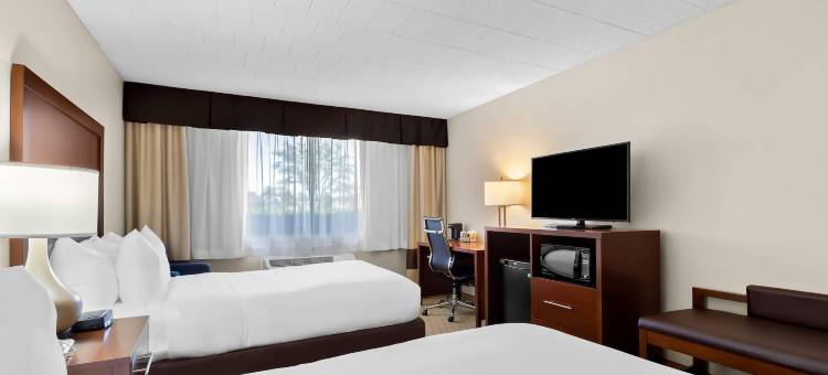 舒适酒店(Comfort Inn)图片