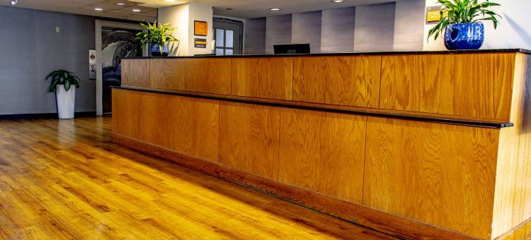 萨拉索塔市中心拉昆塔温德姆套房酒店(La Quinta Inn & Suites by Wyndham Sarasota Downtown)图片