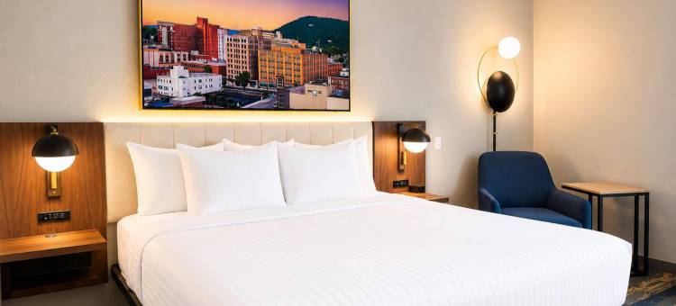 温德姆罗阿诺克霍林斯/I-81拉昆塔温德姆酒店套房(La Quinta Inn & Suites By Wyndham Roanoke Hollins/I-81)图片