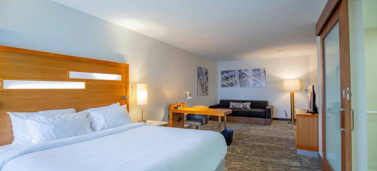 巴吞鲁日冈萨雷斯SpringHill Suites酒店(SpringHill Suites Baton Rouge Gonzales)图片