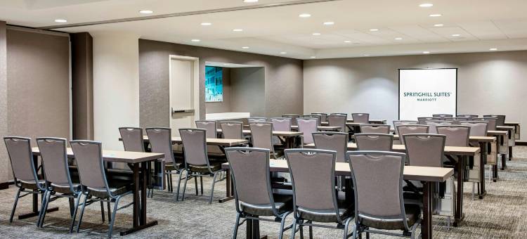 密尔沃基市中心万豪SpringHill Suites酒店(SpringHill Suites Milwaukee Downtown)图片