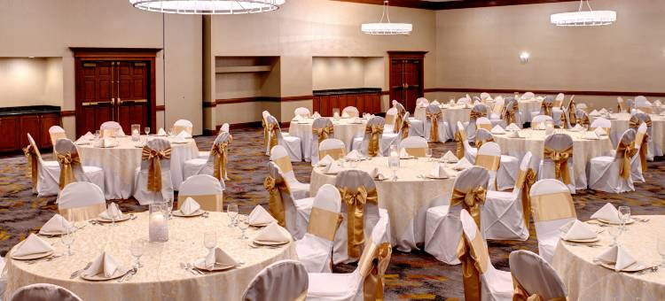 底特律迪尔伯恩希尔顿逸林酒店(DoubleTree by Hilton Detroit - Dearborn)图片