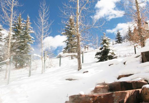 Park Hyatt Beaver Creek Resort and SpaHotel Overview