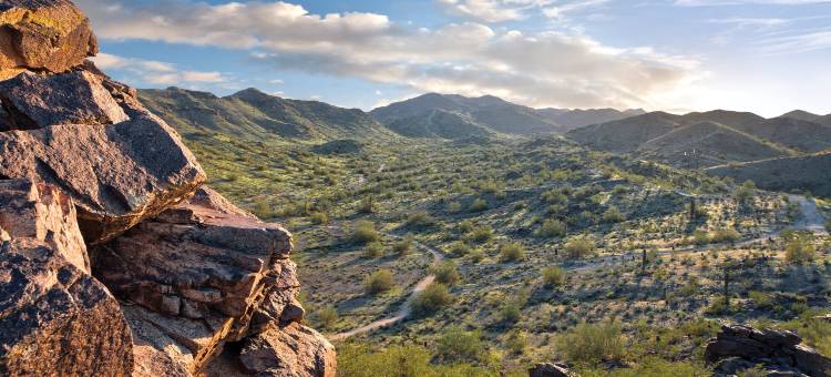 凤凰城南山自然保护区雨树酒店(WorldMark Phoenix - South Mountain Preserve)图片