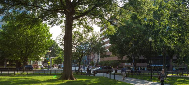 五月花酒店-傲途格精选(The Mayflower Hotel, Autograph Collection)图片