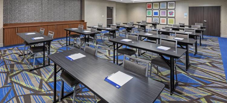 丹顿桑格智选假日套房酒店(Holiday Inn Express & Suites Denton - Sanger)图片