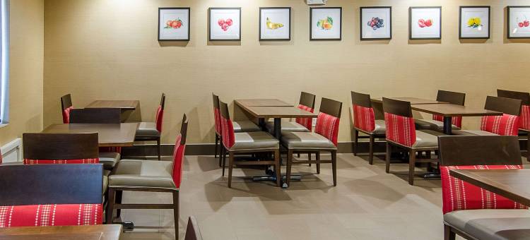 舒适套房酒店(Comfort Suites)图片