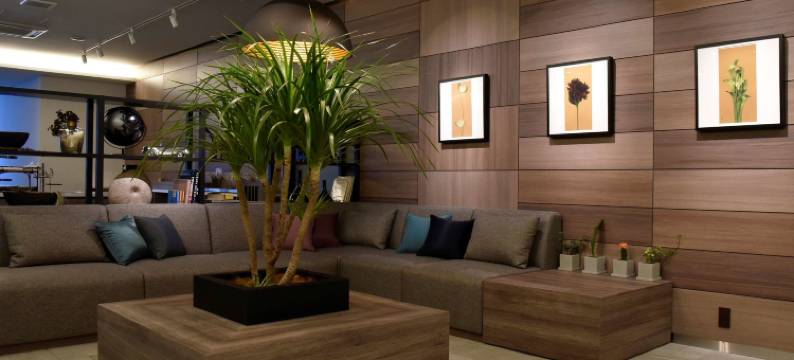 奥迪西斯札幌大通公园酒店(Odysis Sapporo Odori Koen Hotel)图片