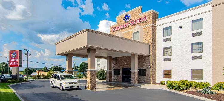 诺克斯维尔机场舒适套房酒店(Comfort Suites Knoxville Airport)图片