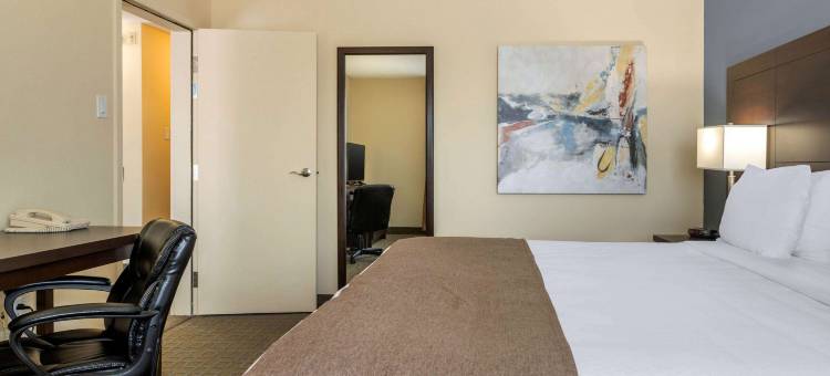 品质酒店(Quality Inn & Suites)图片