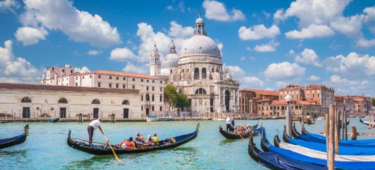 大使特尔玫瑰园酒店(Ambassador Tre Rose)图片