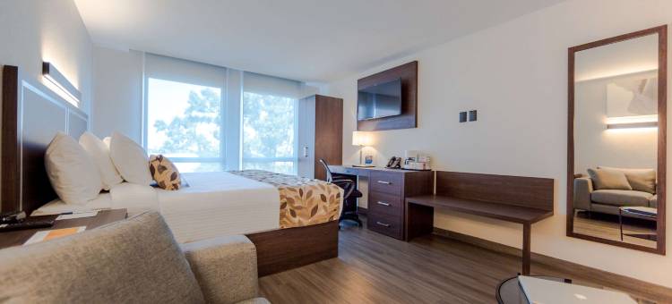 瓜达拉哈拉画廊舒眠旅馆(Sleep Inn Guadalajara Galerias)图片