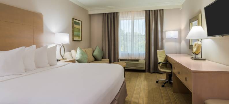 Holiday Inn Express 费尔霍普，指向明确(Holiday Inn Express FAIRHOPE-POINT CLEAR by IHG)图片