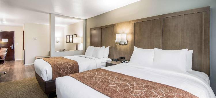 哥伦比亚 I-65 舒适套房酒店(Comfort Suites Columbia I-65)图片