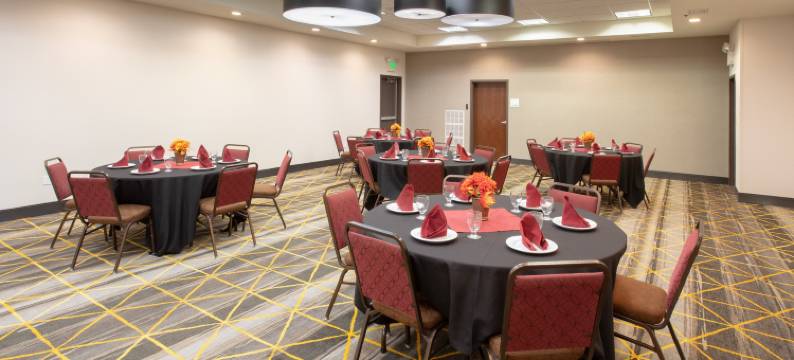 Holiday Inn & Suites 杜兰戈(Holiday Inn & Suites DURANGO DOWNTOWN by IHG)图片