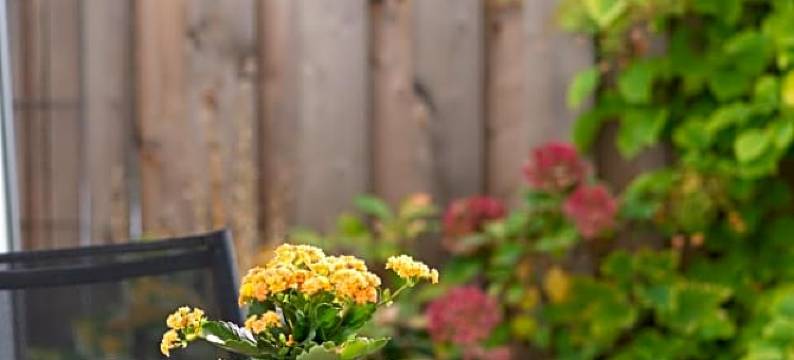 威斯特菲尔德酒店(Hotel Westerfeld)图片