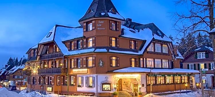 斯切瓦兹德霍夫酒店(Hotel Schwarzwaldhof)图片