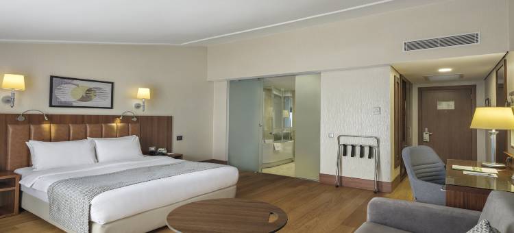 伊斯坦布尔老城假日酒店(Holiday Inn ISTANBUL - OLD CITY by IHG)图片