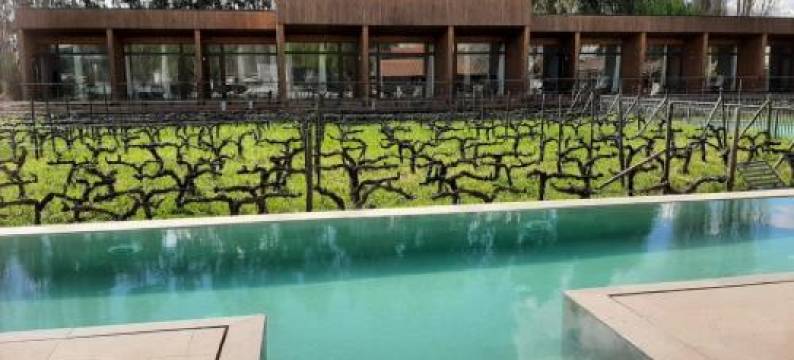 帕若内尔酒店(Hotel Parronales)图片