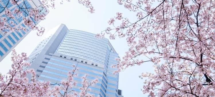 东京品川诗颖洲际酒店(The Strings by InterContinental, Tokyo)图片