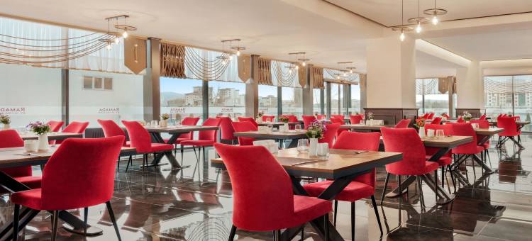 锡瓦斯温德姆华美达酒店(Ramada by Wyndham Sivas)图片