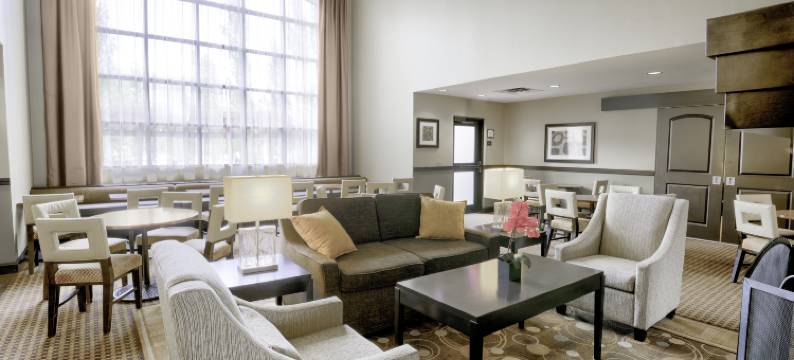 埃德蒙顿西区Staybridge Suites(Staybridge Suites WEST EDMONTON by IHG)图片