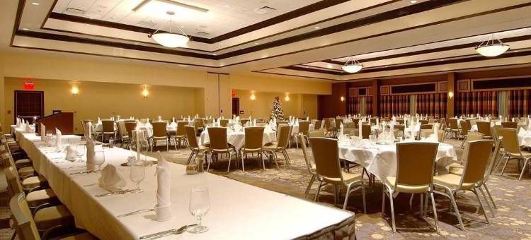 拉斯克鲁塞斯希尔顿花园酒店(Hilton Garden Inn Las Cruces)图片