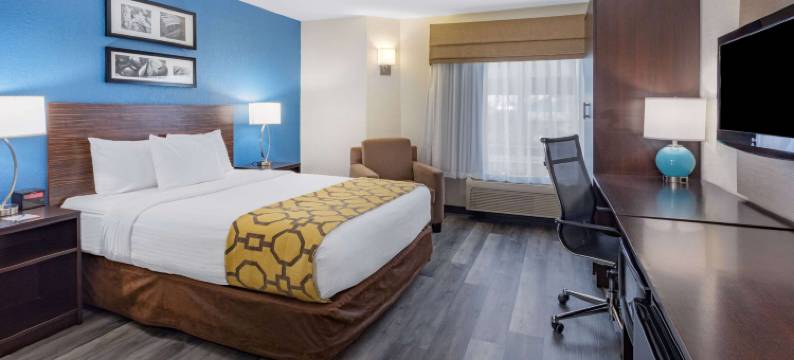 米兰温德姆呗盟酒店(Baymont by Wyndham Milan)图片