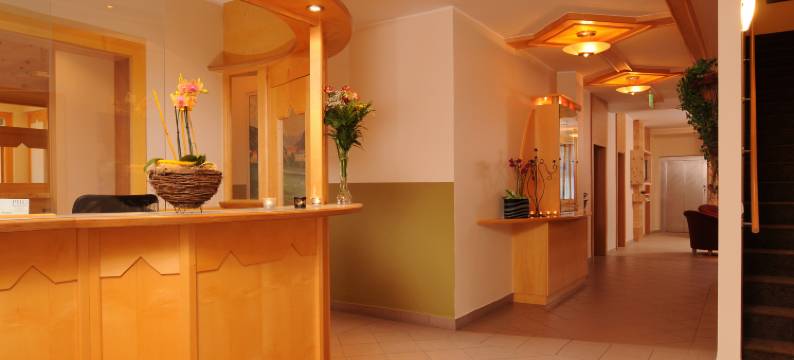 陶尔斯特酒店(Hotel Tauernstern)图片