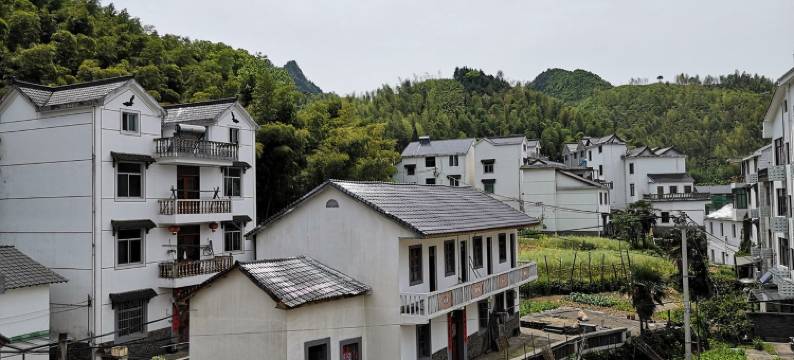 小姜先生特色民宿(淳杨线分店)图片