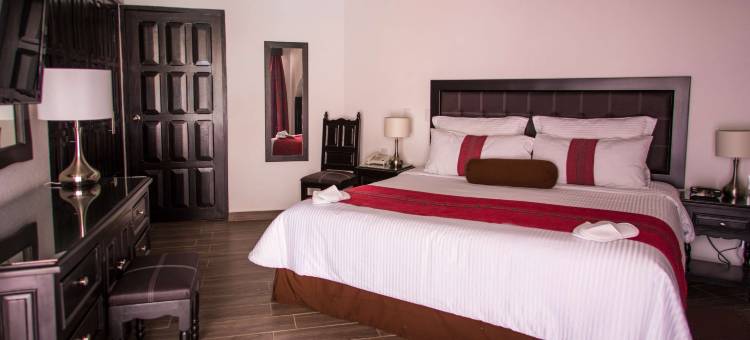 唐瓦斯科贝斯特韦斯特优质酒店(Best Western Plus Posada de Don Vasco)图片