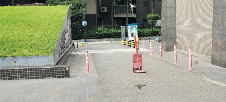 成都宽窄巷子时光小站公寓图片