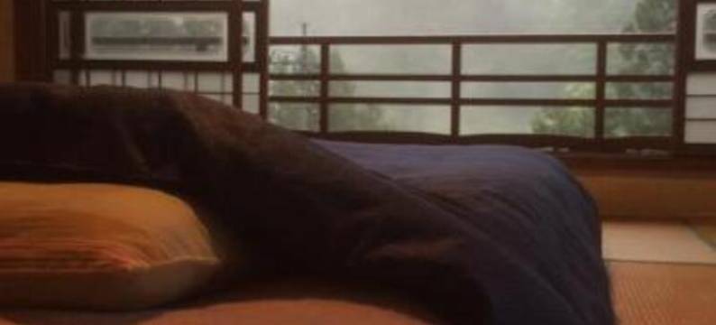 尼时基旅馆(Guesthouse Nishiki)图片