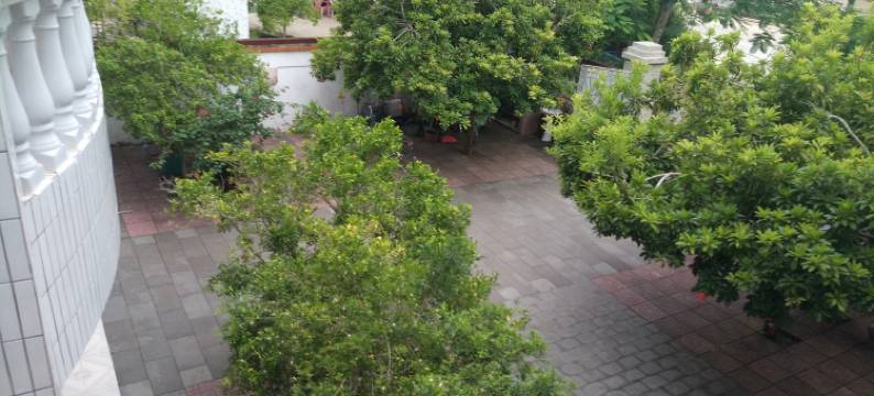 东郊椰园民宿(椰林湾路分店)图片