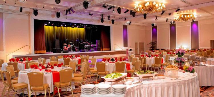 拉斯维加斯金银岛-TI酒店及娱乐场(Treasure Island – TI Las Vegas Hotel  & Casino)图片