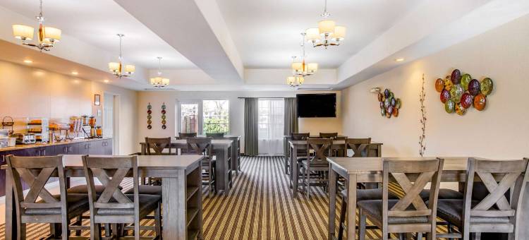 福勒拉昆塔温德姆套房酒店(La Quinta Inn & Suites by Wyndham Fowler)图片