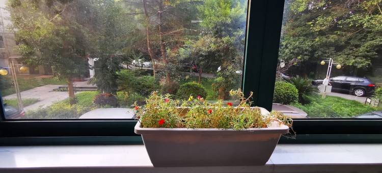 土九路特色民宿(鲁迅东路分店)图片