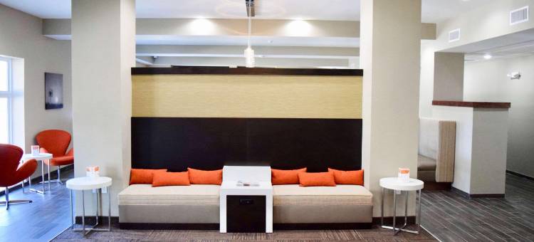 近威斯切斯舒眠套房酒店(Sleep Inn & Suites Near Westchase)图片