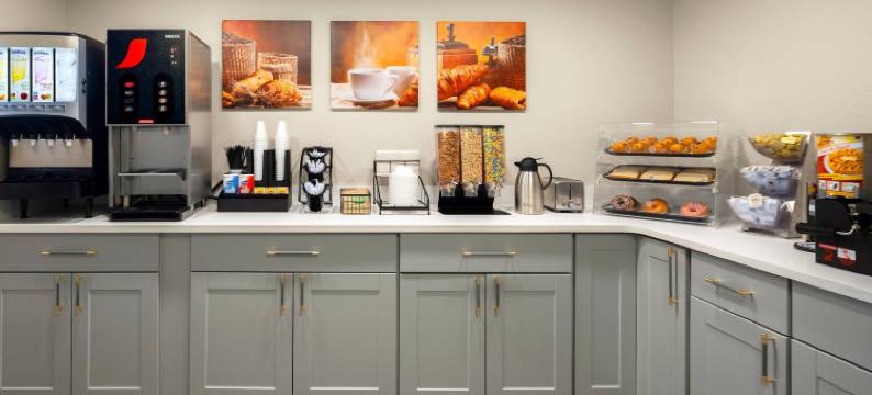 底特律机场马格努森酒店(Magnuson Hotel Detroit Airport)图片