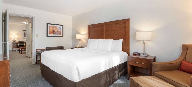 咆哮叉河卡本戴尔舒适套房酒店(Comfort Inn & Suites Carbondale on the Roaring Fork)图片