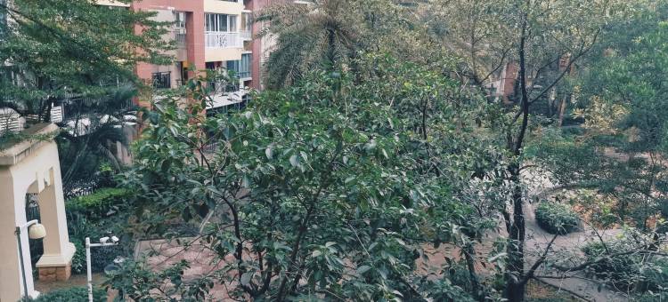 紫云汇庄园美墅公寓(银湖西路分店)图片