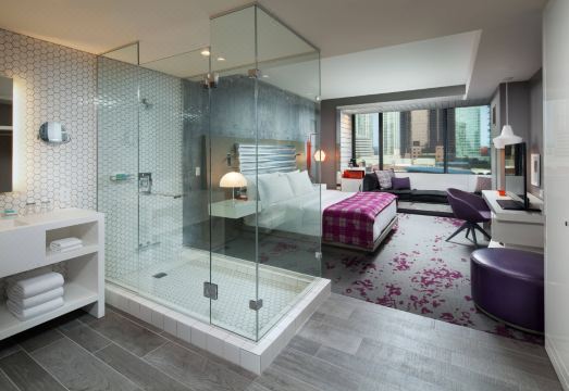 W Bellevue Hotel Overview