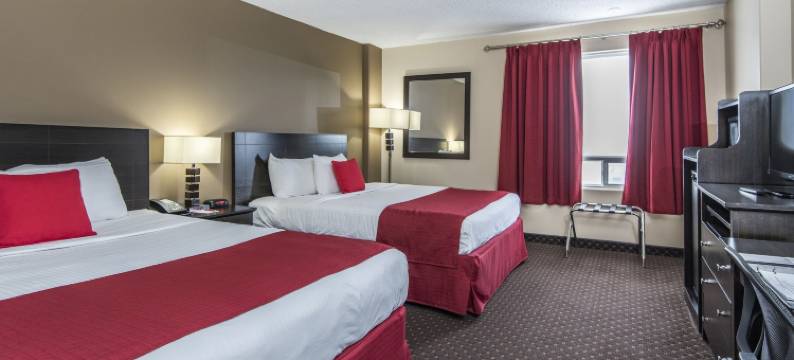 天堂宾馆及会议中心(Paradise Inn & Conference Centre)图片